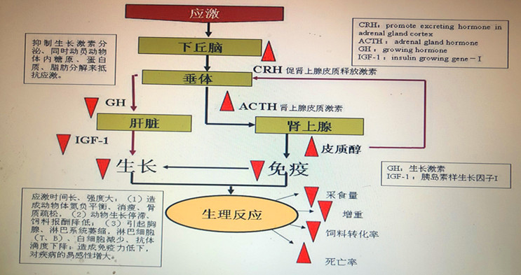 18，軟文圖片中.jpg